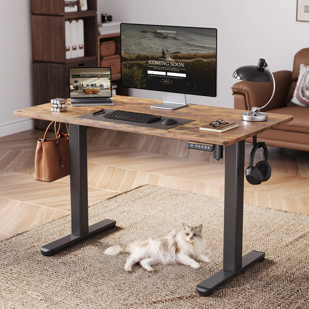 Electric Standing Desk, Adjustable Height Stand up Desk, 