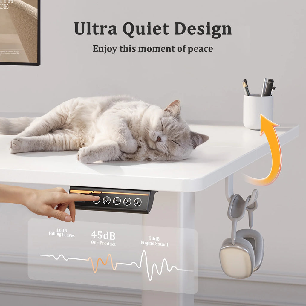 Electric Standing Desk, 63 Inch Adjustable Height Stand up Work Desk